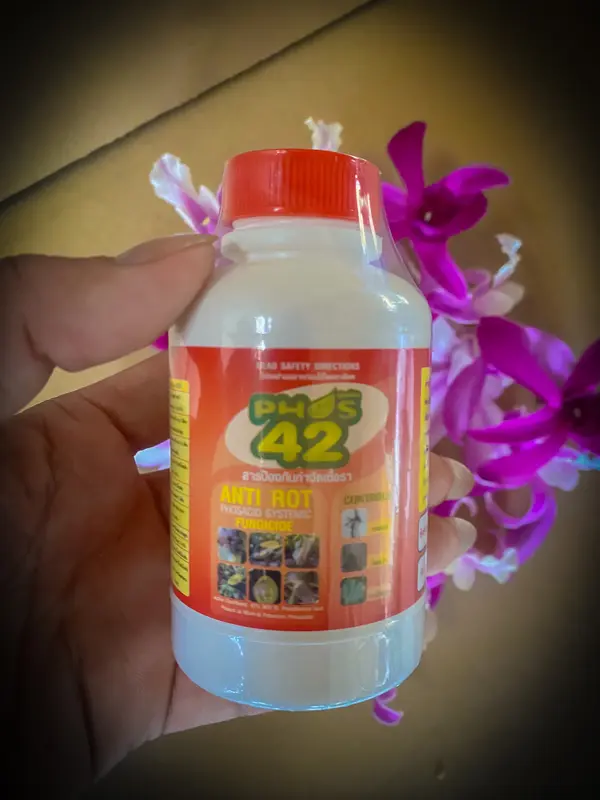 PHOS 42 Thái Lan (PHs 42) - Thuốc Trị Nấm và Thối Rễ, Chai 100ml 3