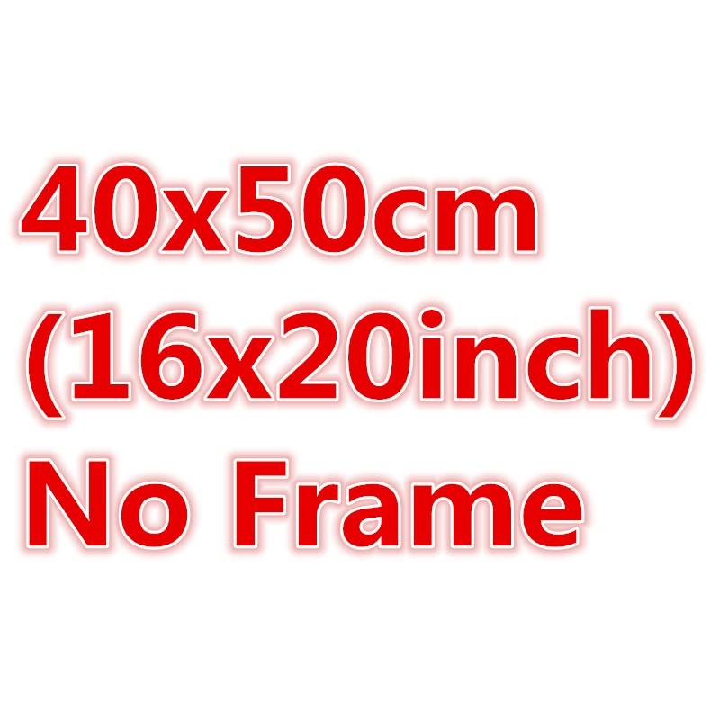 DZ-40x50cm No Frame