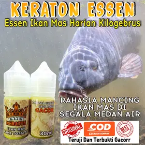 Essen Kraton Khusus Ikan Mas Kilogebrus Rame Totalan Original 30 ml