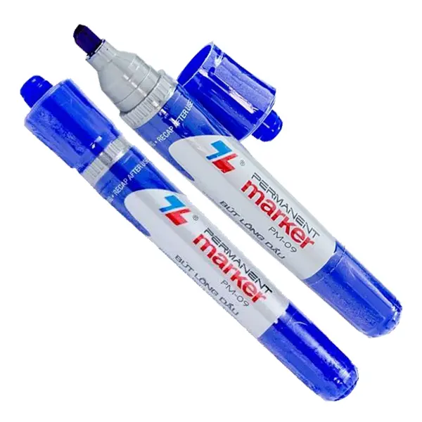[CHUYÊN SỈ] Combo 10 Bút lông dầu Thiên Long, 2 đầu bút to, PM-09, bám dính tốt trên nhiều vật liệu 2