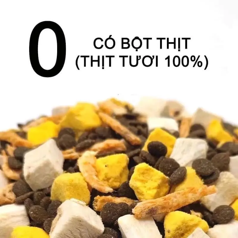 Hạt LANGLIKE siêu topping 40% đạm cho mèo, hạt mix topping cao cấp không trứng cho mèo mọi lứa tuổi 4