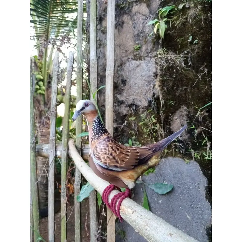 JONTROT/PATUNG burung TEKUKUR, DEKUKU,alat pikat racik 0