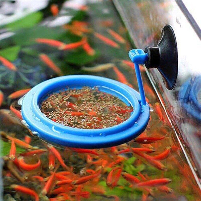 Product Introduction of Ready StockAquarium Buoyancy Fish Feeding Ring Floating Ring Fish Tank Station Floating Food Tray with Suction Cup 11
