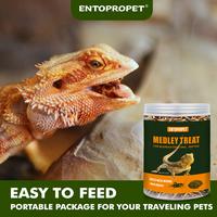 Reptile Food