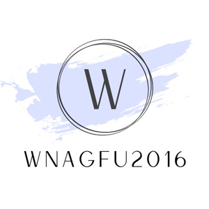 wangfu2016