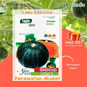 [PROMO] Bibit Unggul Tanaman Sayuran Labu Kabocha Isi 20 Benih