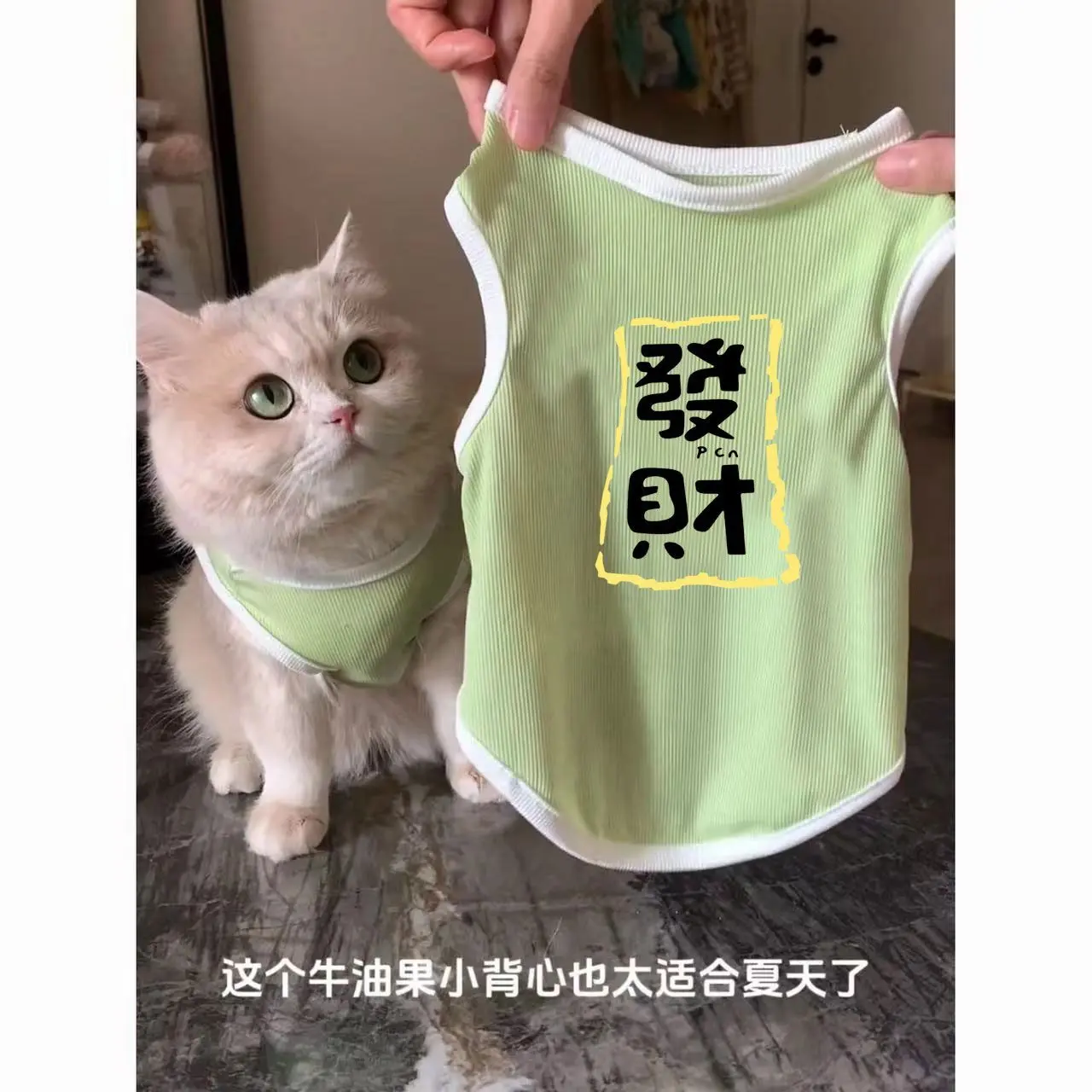 Áo Gi-lê Mỏng Cho Thú Cưng, Chất Liệu Mềm Mại, Thích Hợp Cho Mùa Xuân Và Mùa Hè, Thích Hợp Cho Chó Mèo Teddy, Bichon, Schnauzer, Quần Áo Cho Chó Nhỏ