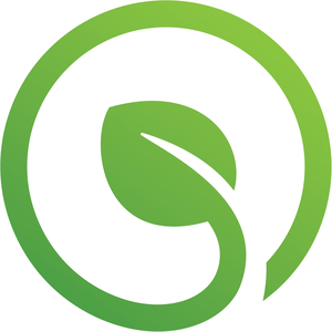 OBS Việt Nam Store IV