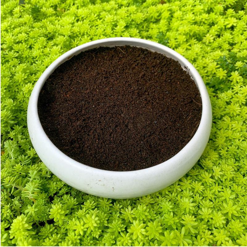 Phân trùn quế (1kg) SONDA GARDEN bổ dưỡng cho cây 1
