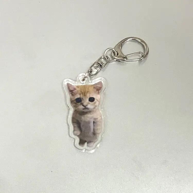 Product Introduction of Cute Cartoon Banana Cat Acrylic Keychain - Crying Banana Cat Bag Charm, Emotional Gift for Friends 1
