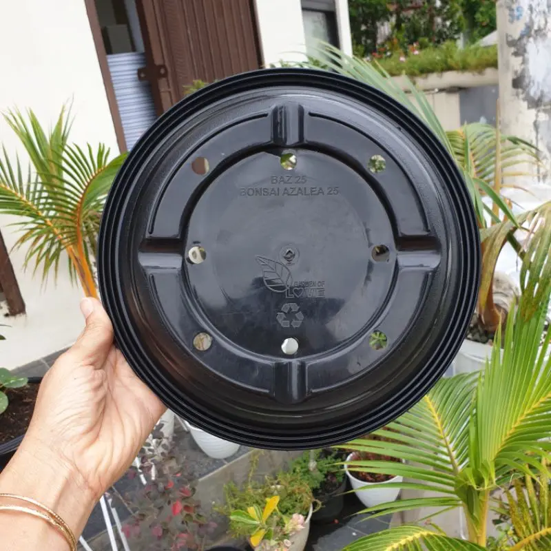 AZALEA BONSAI BAZ 25 HITAM-PUTIH Pot bunga bonsai ceper murah motif tawon bagus 2