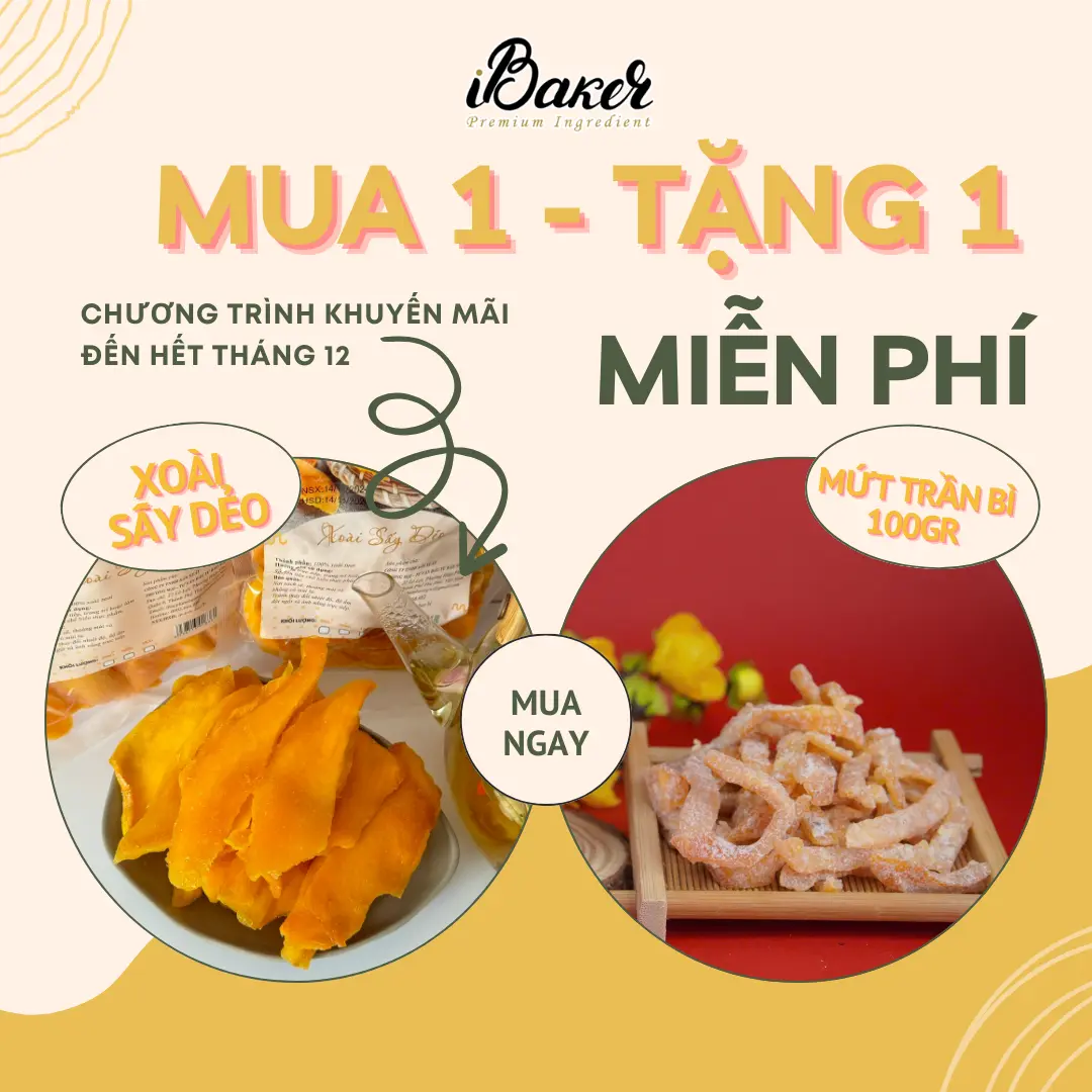[100g/250g/500g] Xoài Sấy Dẻo BNFOOD Mềm Dẻo - Tặng Mứt Trần Bì  Snack