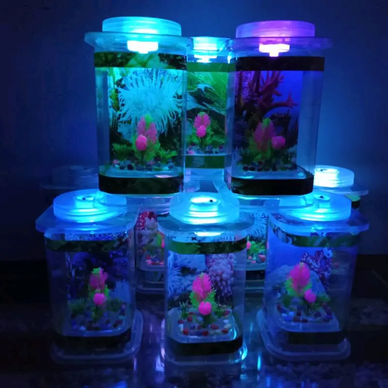 Aquarium mini ikan cupang kecil  unik