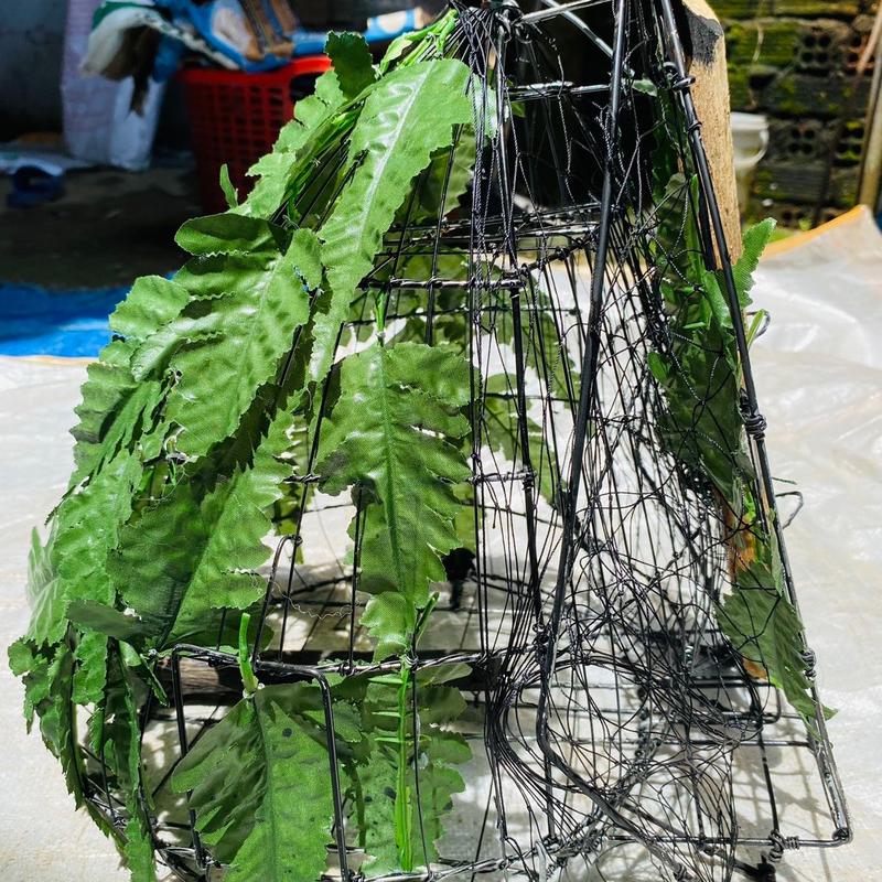 lồng chim cu gáy phủ lá dương sỉ quấn tay tỉ mỉ từng mối hàn, sản phẩm thủ công quấn tay có cầu tử dài 35cm, chiều dài lồng 30cm, màu sơn đen,lưới dù tàng hình mắt 6p nhuộm đen