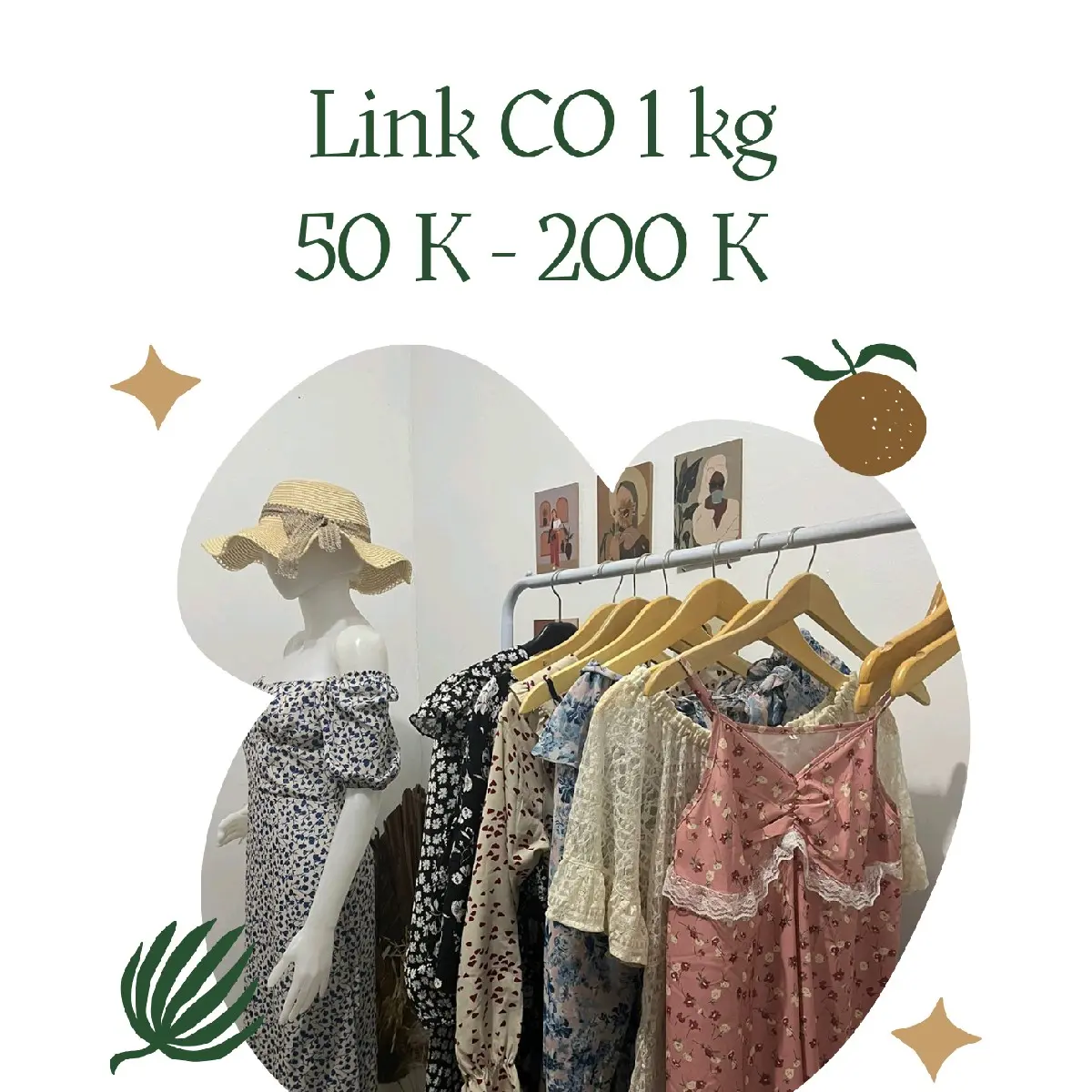 CO DRESS 50 - 200 k + admin 2%