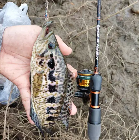 Rayap Lure sudah menggunakan swivel/kili2 untuk menghindari PE/senar melintir Gabus umpan  casting 4