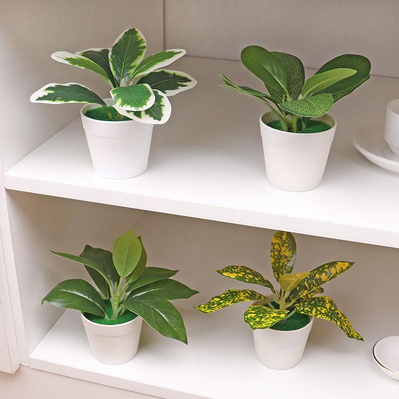 Chậu Cây Giả Lá Xanh 16cm – Trang Trí Nhà Cửa Văn Phòng Cây Bonsai Mini Giảm Mệt Mỏi