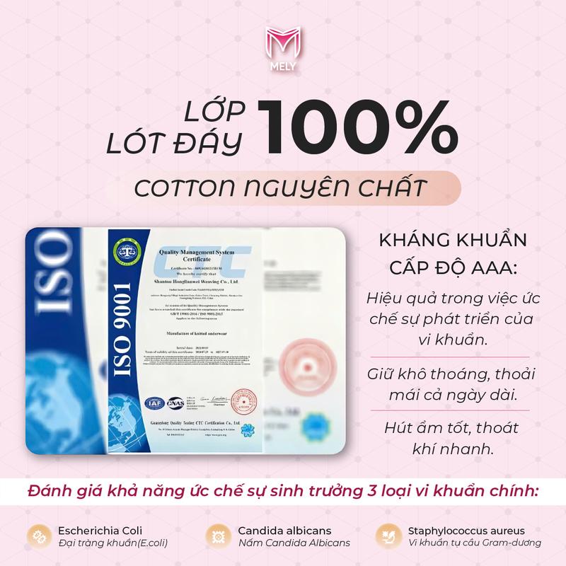 Quần lót lụa polylactic nữ 2455 cạp cao lượn sóng kháng khuẩn 7A thoáng khí Women 4