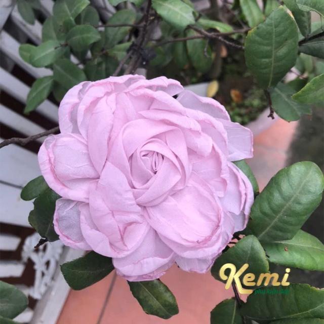 Hoa cài áo có ghim sẵn hoa thược dược voan tơ kích thước 10cm chất vải voan mềm cài áo váy, trang trí phụ kiện thời trang 5
