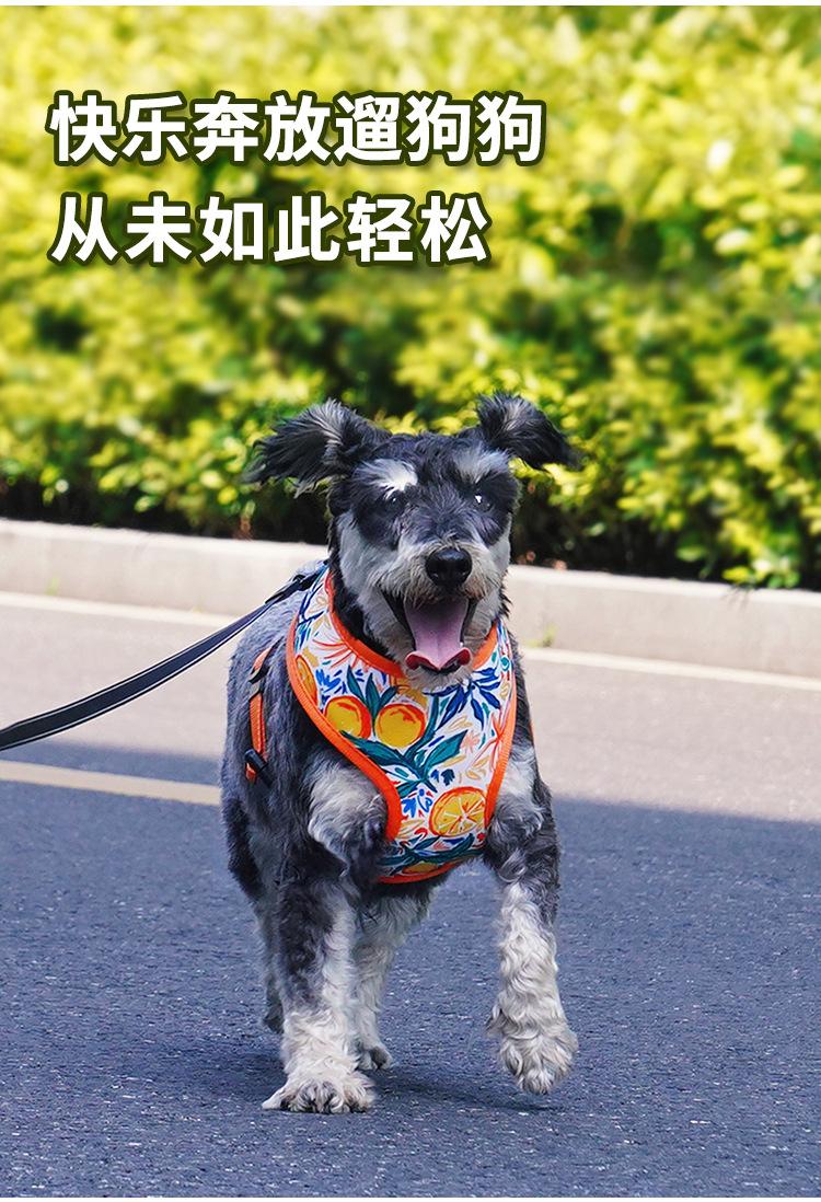 Product Introduction of Dog Harness for Outdoor Use, Breathable Vest for Small and Medium Dogs, Pet Walking Leash for Puppies, Corgis, Shiba Inus 4
