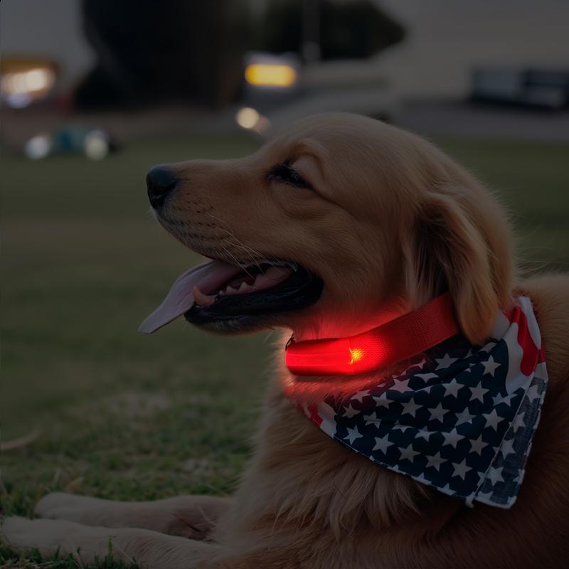 Product Introduction of LED luminous pet collar, suitable for small and medium-sized dogs - keep your pet safe and visible during nighttime walks, slightly waterproof 4
