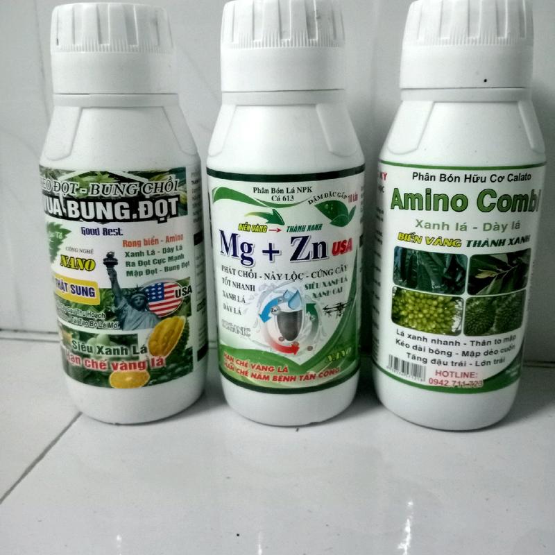 Combo 3 chai phân bón Mg Zn + Vua Bung Đọt + Amino Combi