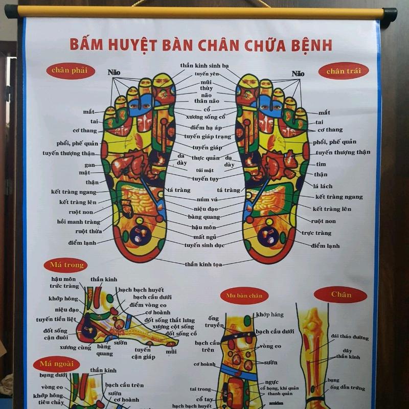Bản Đồ Huyệt Vị Bàn Chân Tranh treo tường bức ảnh