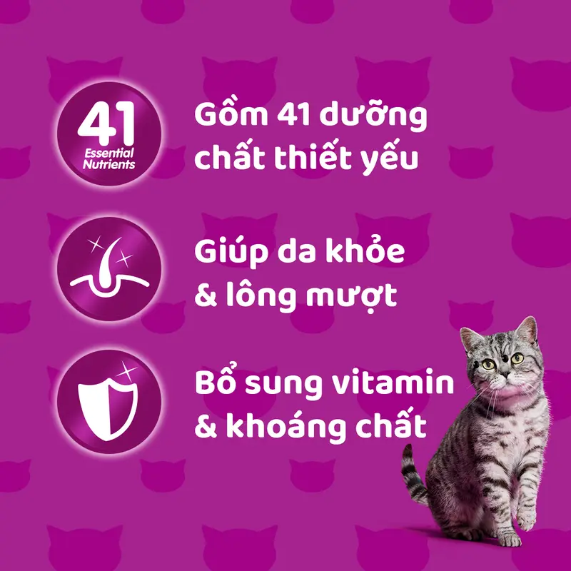 Thùng Thức Ăn Cho Mèo Lớn Dạng Sốt Pate WHISKAS - 28 gói 3
