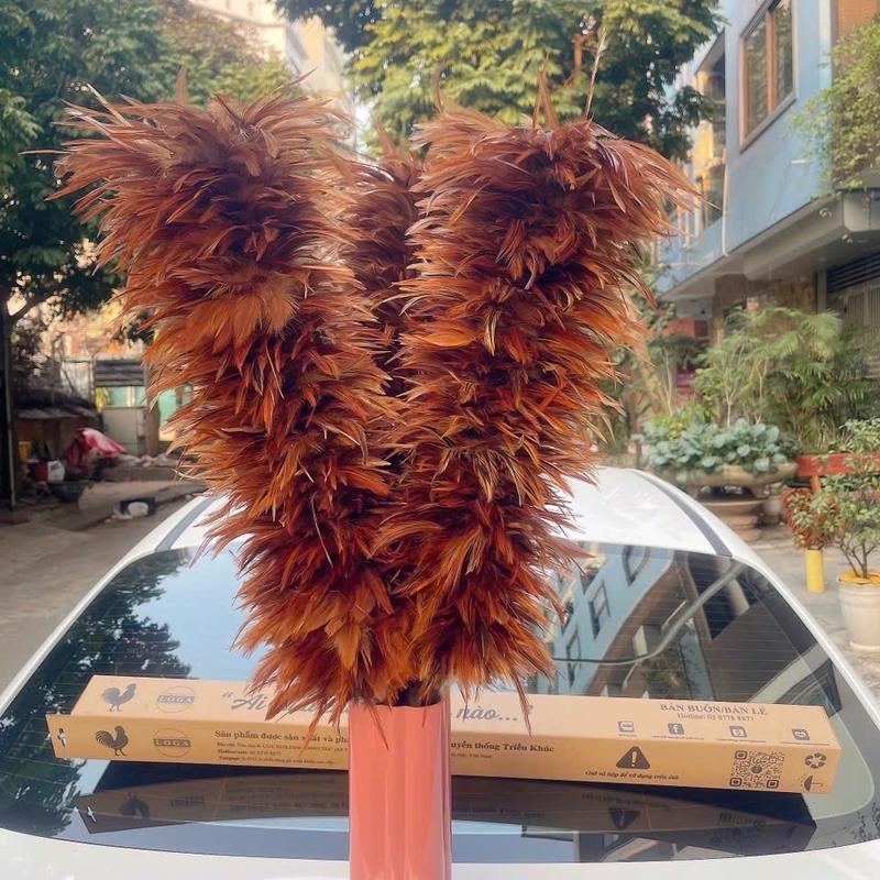 Chổi LOGA LGXK05R xuất khẩu chuyên phủi bụi ô tô, phòng khách, đồ phong thuỷ “Best Saler ô tô” 4