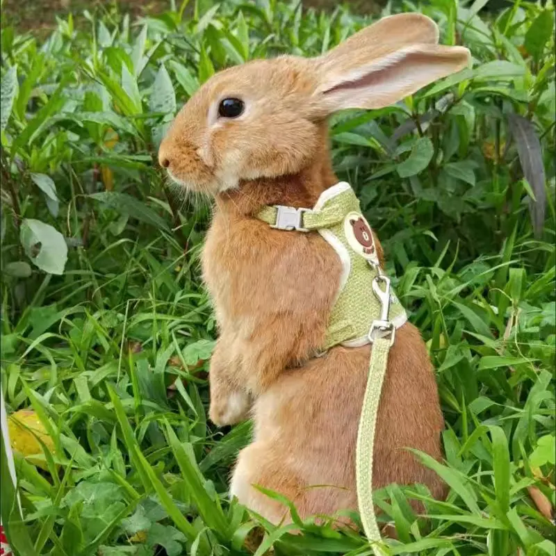 Newest Cute Rabbit Harness and Leash Set Bunny Pet Accessories Vest Harnesses Small Dog Leashes for Outdoor Walking