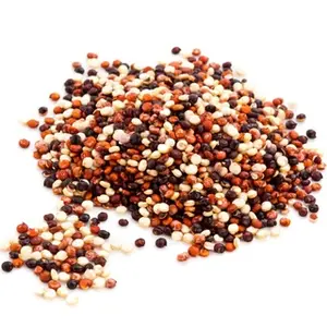 Tri Color Quinoa 1kg/1000gr Tricolour Quinoa Wijen Kering