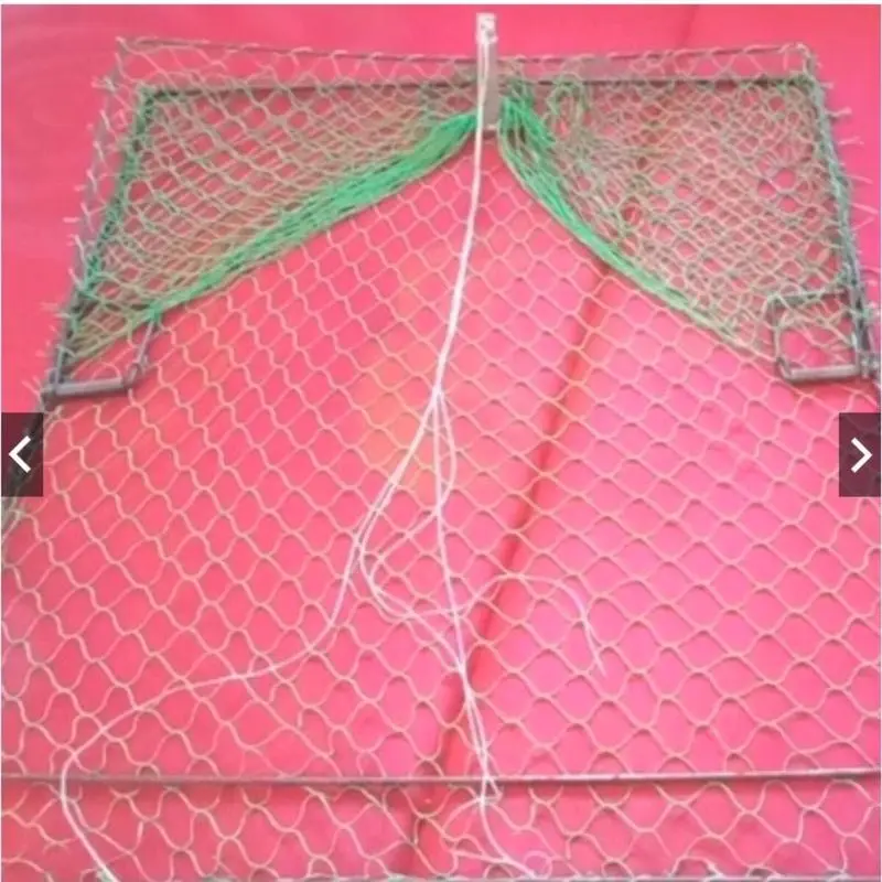 Lồng Bẫy Gà, Chim, Bìm bịp, Cò 2