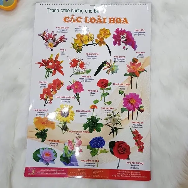 Bộ tranh treo tường,14 chủ đề cho bé từ 1- 5 tuổi- học nói tăng nhận biết quan sát 4