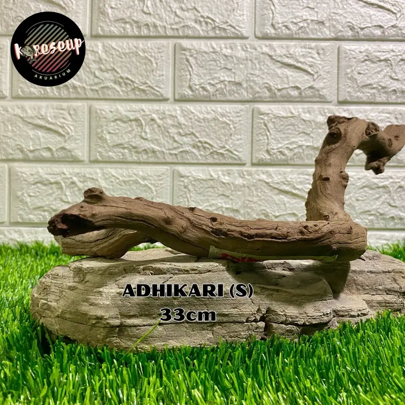 AKAR AQUASCAPE SANTIGI LAUT TENGGELAM RANDOM (size SS) untuk hiasan Aquarium 30cm 7