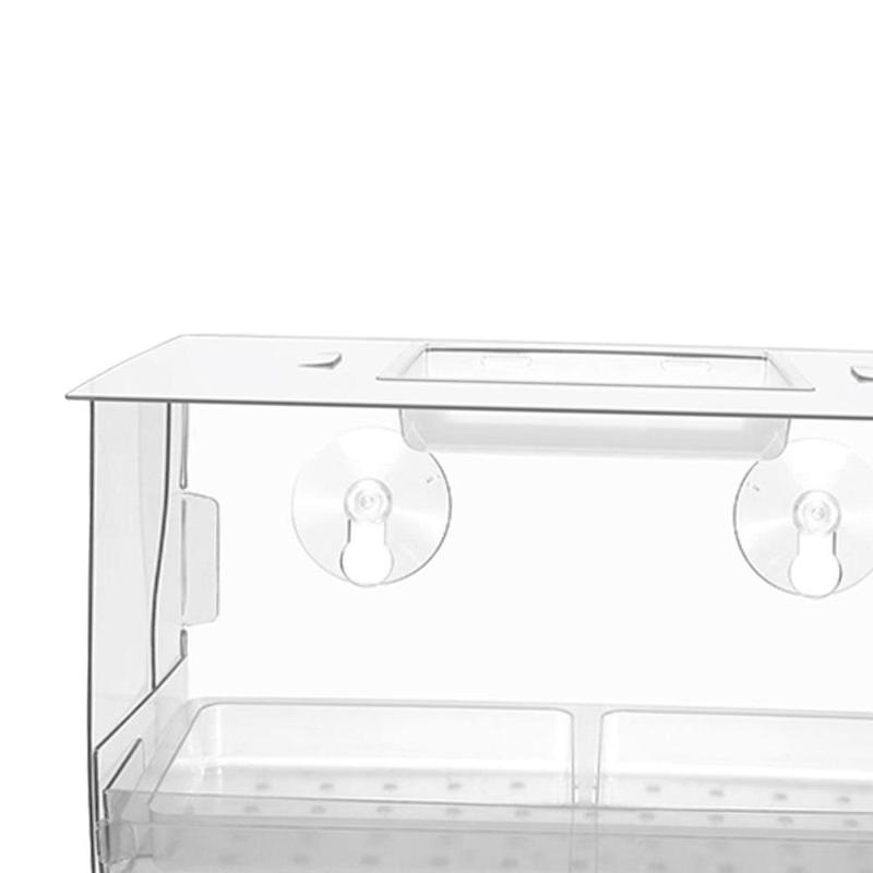 Product Introduction of Window Bird Feeder Transparent Outside Birdhouse for Wild Birds Finches 1