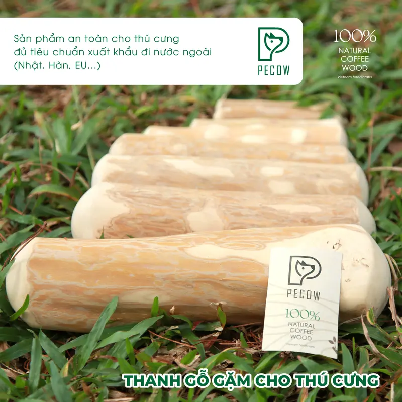 Thanh gặm cho chó bằng gỗ cà phê tự nhiên XL - Giảm căng thẳng và lo âu cat toys 6