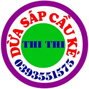 DỪA SÁP THI THI
