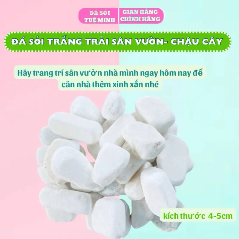 Đá Sỏi Trắng Trang Trí Chậu Cây, Hồ Cá, Trải Sàn Nhà, Trang Trí Sân Vườn, Quán Cafe, Sỏi Trắng Đẹp thuỷ  sinh 5