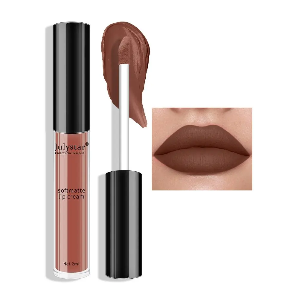 Long-lasting Matte Lip Gloss, 1 Count Glossy Lipstick for Daily Use, Water-proof Non-fading Lip Balm for All Occasions Lip Makeup, Compact Lip Cosmetic