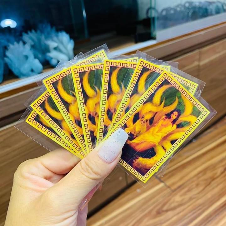 phù ép plastic ốp đt -AnhGemmie