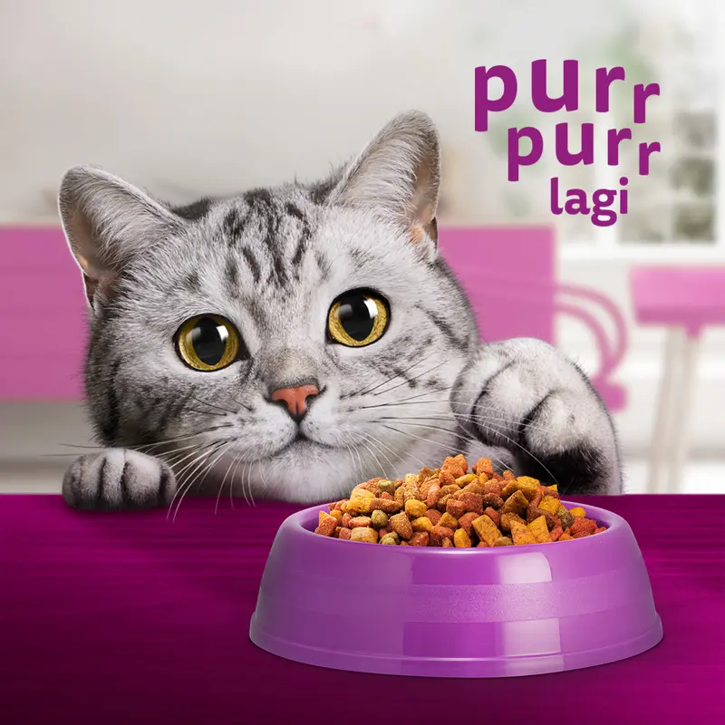 Whiskas Makanan Kucing Kering 1.2 kg - Isi 2 whiskas 2