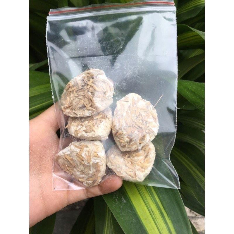 ￼5 viên men rượu làm 500g cơm rượu nếp