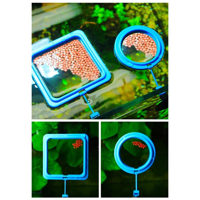 Yica 2pcs Fish Tanks Feeding Rings Small Fishes Feeders Rings Circle Buoyance Fish Feeders for Easy Installation And Cleaning 5