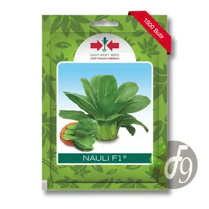 Benih Bibit Pakcoy Pokcoy Pakchoy Nauli F1 Panah Merah 1500 Butir