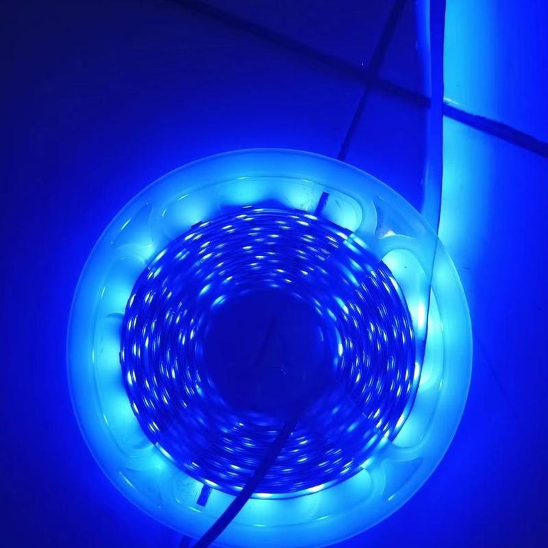 Lampu LED Strip 4040 5050 IP33 12v INDOOR Led strip ip 33 12v - 4040 4