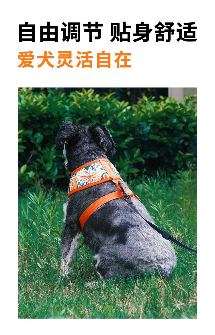 Product Introduction of Dog Harness for Outdoor Use, Breathable Vest for Small and Medium Dogs, Pet Walking Leash for Puppies, Corgis, Shiba Inus 5