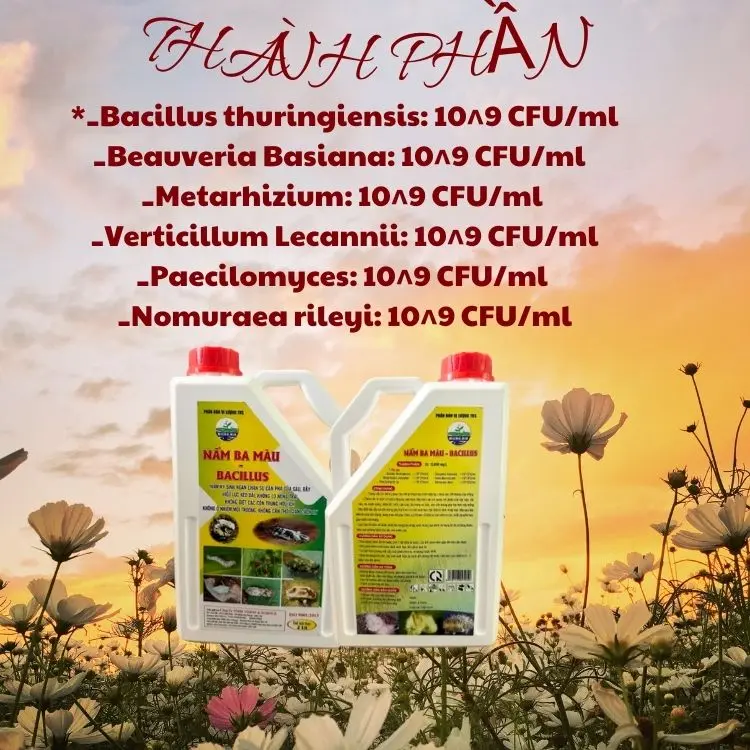Phân bón sinh học NẤM 3 MÀU BACILLUS phòng ngừa Côn Trùng- Can 2 Lít 2