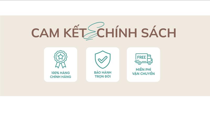 Product Introduction of Bông Tai B85 thiết kế chiếc lá, phong cách thanh lịch - Bông tai nữ vàng trắng 10k đính đã tấm CZ cao cấp [Kim Ngọc Thủy 1
