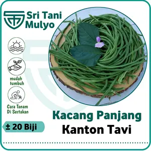 20 Biji - Benih Kacang Panjang KANTON TAVI Tahan Virus - Cap Panah Merah - Bibit Sayuran Benih Sayur