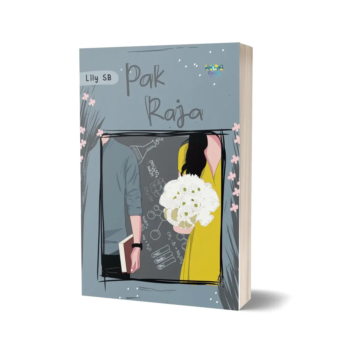 Novel Pak Raja karya Lily SB